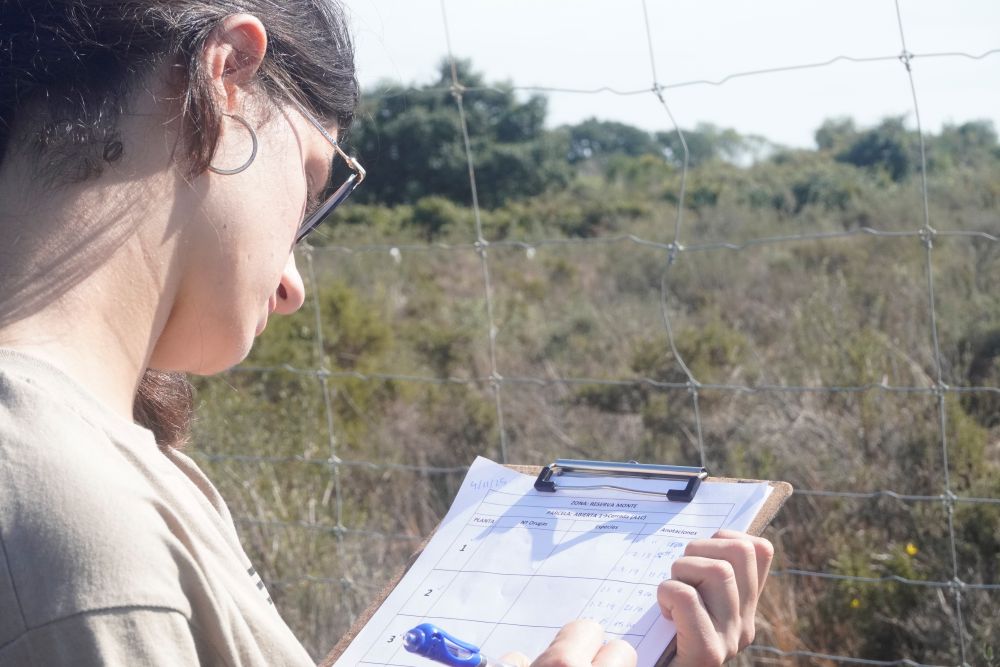 La investigadora Rocío Fernández Fuerte haciendo anotaciones
